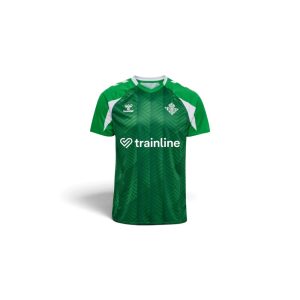 Camiseta prepartido Real Betis 26/27. Equipación de entrenamiento oficial para adulto del Real Betis Balompié temporada 2026/27.